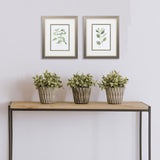 Paragon Herb Garden Sketches S/2 Green 11 X 09 X 1 Wall Art