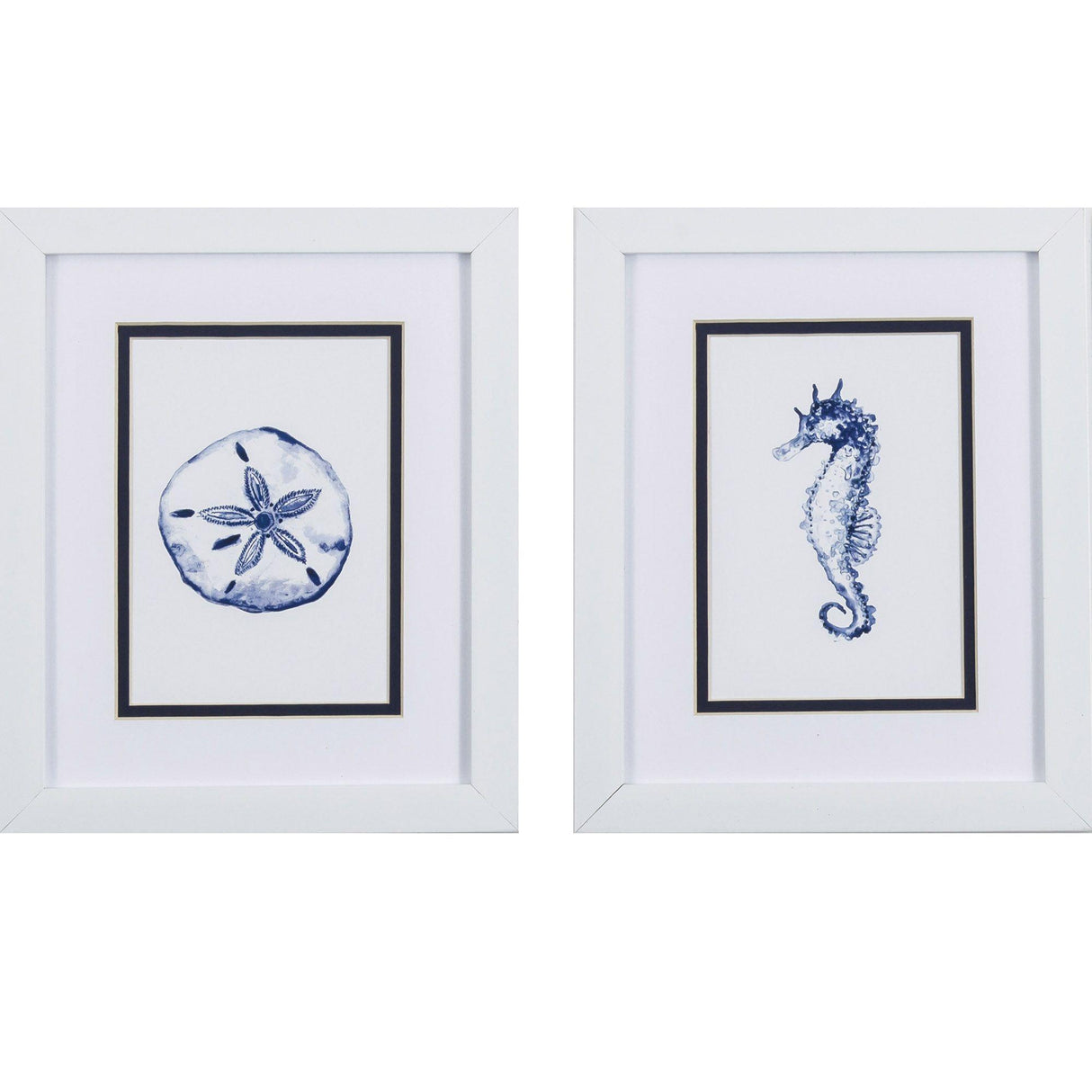 Paragon Sand Dollar Seahorse S/2 Blue 11 X 09 X 2 Wall Art