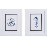 Paragon Sand Dollar Seahorse S/2 Blue 11 X 09 X 2 Wall Art
