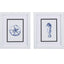 Paragon Sand Dollar Seahorse S/2 Blue 11 X 09 X 2 Wall Art