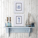 Paragon Sand Dollar Seahorse S/2 Blue 11 X 09 X 2 Wall Art