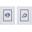 Paragon Clam Shell S/2 Blue 11 X 09 X 2 Wall Art