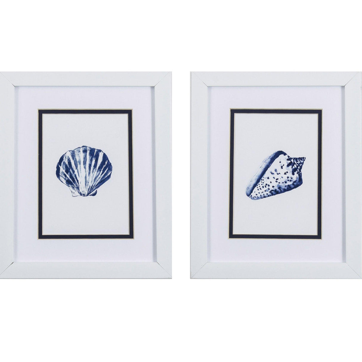 Paragon Clam Shell S/2 Blue 11 X 09 X 2 Wall Art