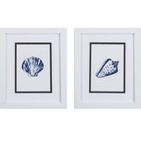 Paragon Clam Shell S/2 Blue 11 X 09 X 2 Wall Art