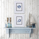 Paragon Clam Shell S/2 Blue 11 X 09 X 2 Wall Art