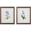 Paragon Blue Lively Botanical S/2 Blue 11 X 09 X 1 Wall Art