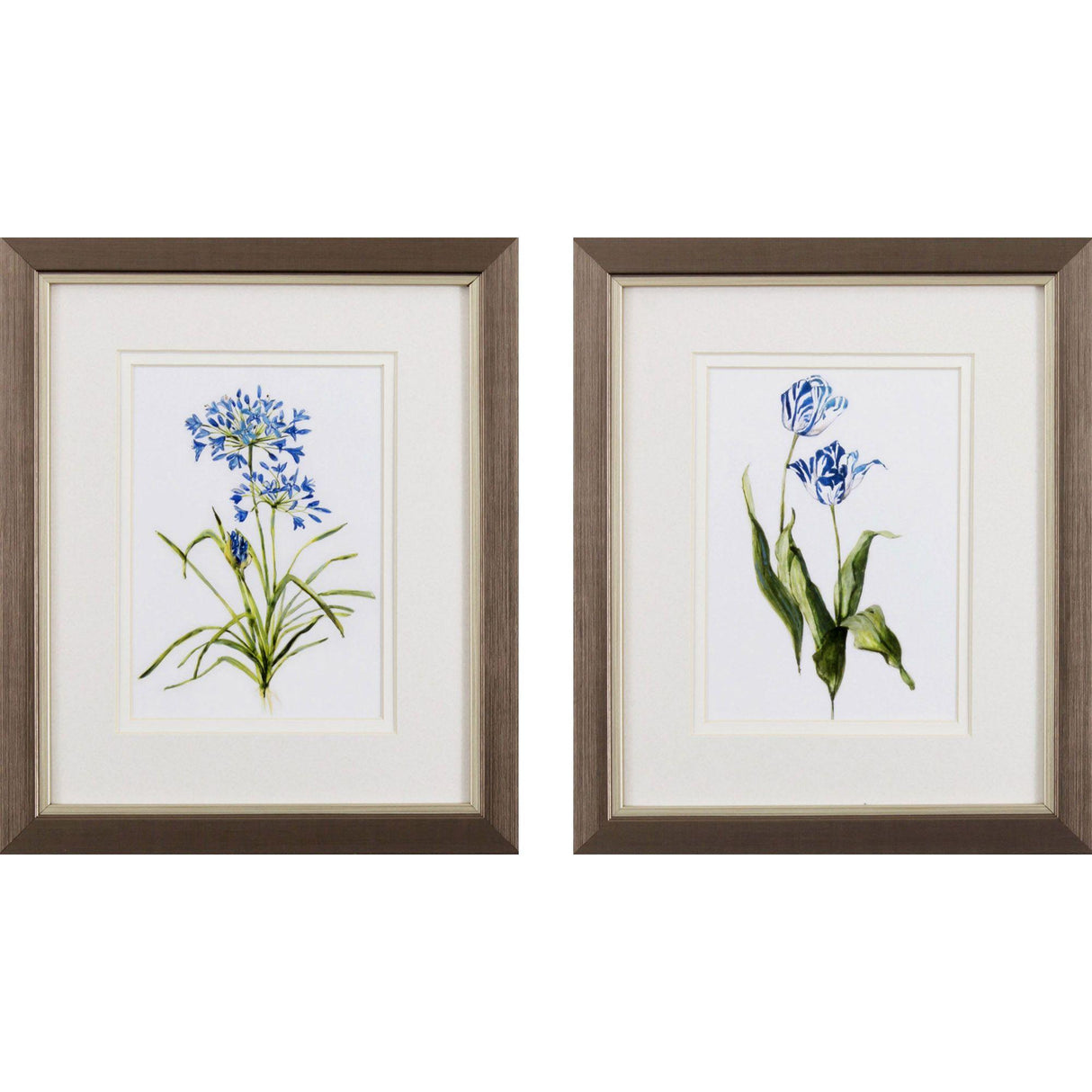 Paragon Blue Lively Botanical S/2 Blue 11 X 09 X 1 Wall Art