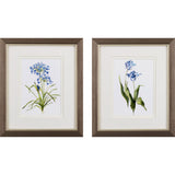 Paragon Blue Lively Botanical S/2 Blue 11 X 09 X 1 Wall Art