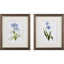 Paragon Blue Lively Botanical S/2 Blue 11 X 09 X 1 Wall Art