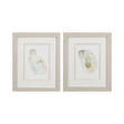Paragon Oyster S/2 Neutral 11 X 09 X 1 Wall Art