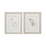 Paragon Oyster S/2 Neutral 11 X 09 X 1 Wall Art