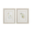 Paragon Oyster S/2 Neutral 11 X 09 X 1 Wall Art