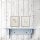 Paragon Oyster S/2 Neutral 11 X 09 X 1 Wall Art