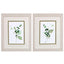 Paragon Sprigs in Green S/2 Green 11 X 09 X 1 Wall Art