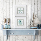 Paragon Sandstar S/2 Teal 11 X 11 X 2 Wall Art
