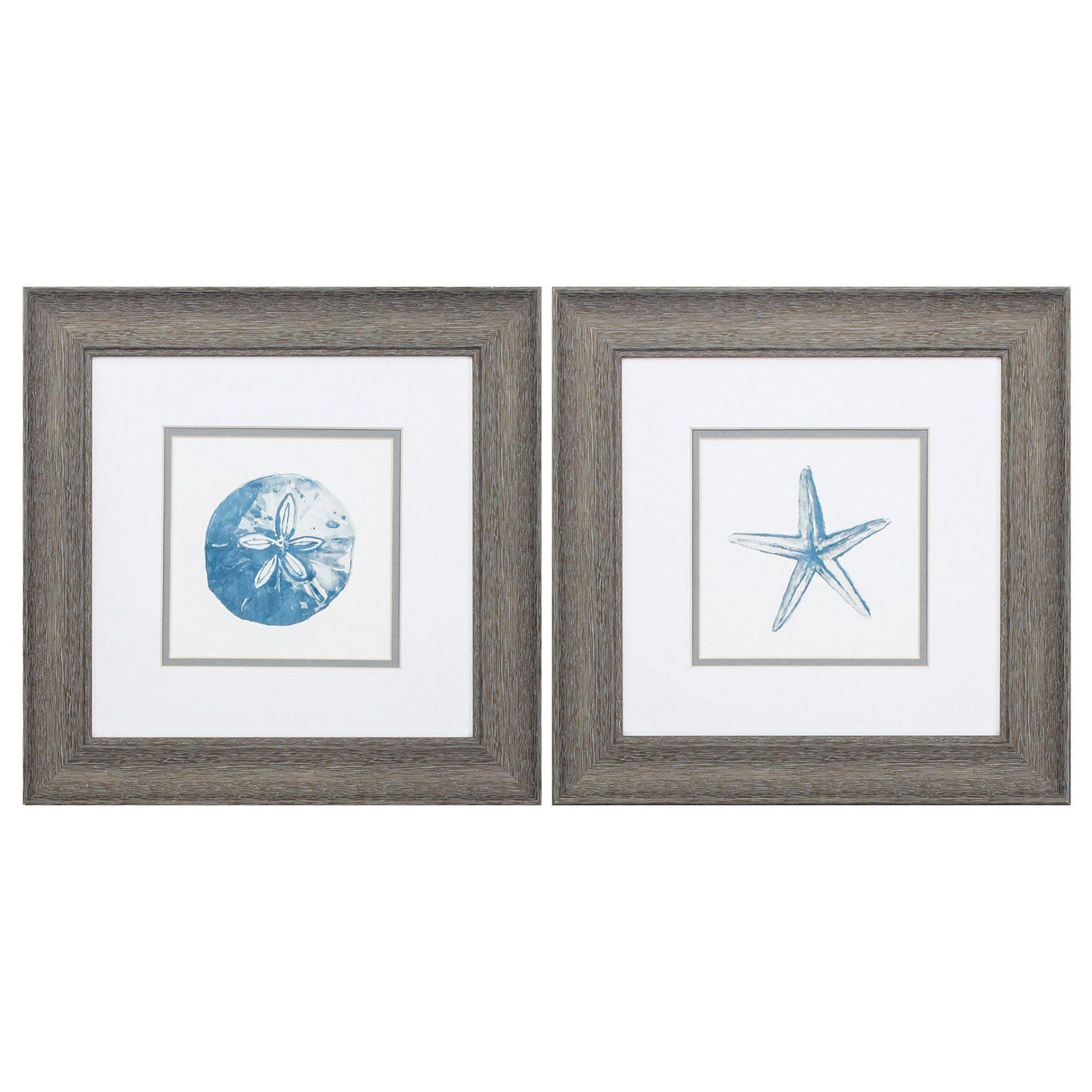 Paragon Sand Dollar Starfish S/2 Blue 13 X 13 X 1 Wall Art