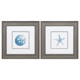 Paragon Sand Dollar Starfish S/2 Blue 13 X 13 X 1 Wall Art