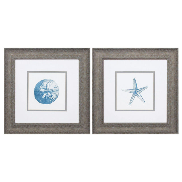 Paragon Sand Dollar Starfish S/2 Blue 13 X 13 X 1 Wall Art
