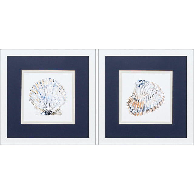 Paragon Simple Shells S/2 Blue 11 X 11 X 2 Wall Art