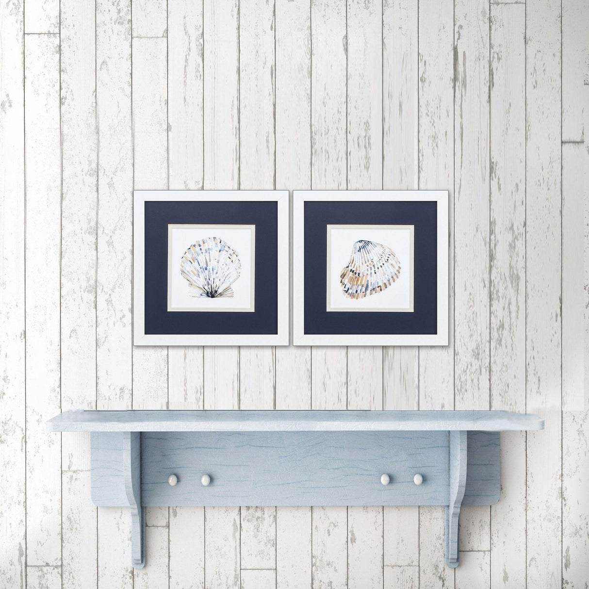 Paragon Simple Shells S/2 Blue 11 X 11 X 2 Wall Art