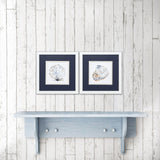 Paragon Simple Shells S/2 Blue 11 X 11 X 2 Wall Art