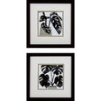Paragon Plantling A S/2 Black 11 X 11 X 2 Wall Art