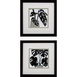 Paragon Plantling A S/2 Black 11 X 11 X 2 Wall Art