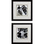Paragon Plantling A S/2 Black 11 X 11 X 2 Wall Art