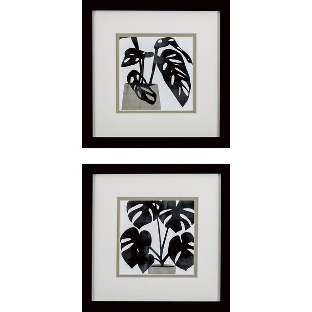 Paragon Plantling A S/2 Black 11 X 11 X 2 Wall Art