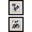 Paragon Plantling B S/2 Black 11 X 11 X 2 Wall Art