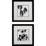 Paragon Plantling B S/2 Black 11 X 11 X 2 Wall Art