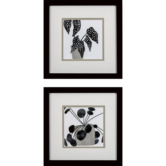 Paragon Plantling B S/2 Black 11 X 11 X 2 Wall Art