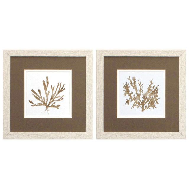 Paragon Metallica Coral S/2 Brown 11 X 11 X 1 Wall Art