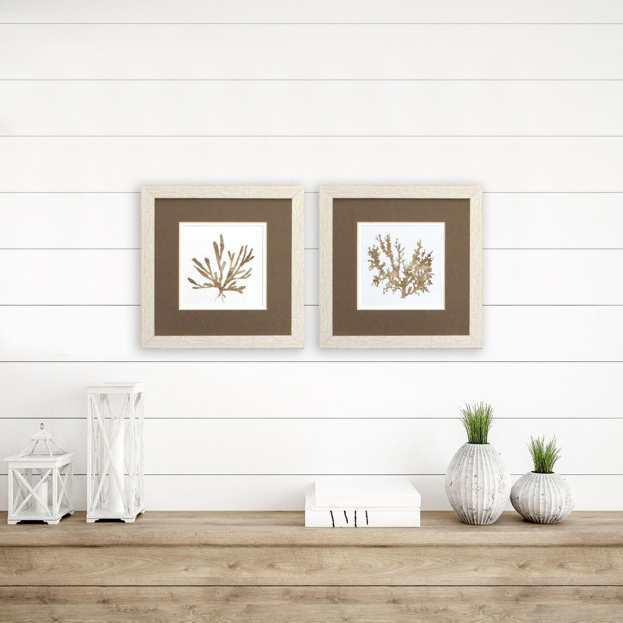 Paragon Metallica Coral S/2 Brown 11 X 11 X 1 Wall Art