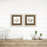 Paragon Metallica Coral S/2 Brown 11 X 11 X 1 Wall Art