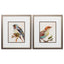 Paragon Eco Bird I S/2 Orange 16 X 14 X 1 Wall Art
