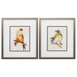 Paragon Eco Bird III S/2 Orange 16 X 14 X 1 Wall Art