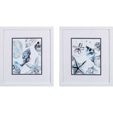 Paragon Cerulean Seashells B S/2 Blue 16 X 14 X 2 Wall Art