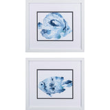 Paragon Blue Ocean Fish A S/2 Blue 14 X 16 X 2 Wall Art