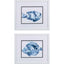 Paragon Blue Ocean Fish B S/2 Blue 14 X 16 X 2 Wall Art