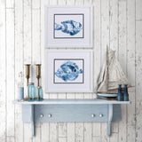 Paragon Blue Ocean Fish B S/2 Blue 14 X 16 X 2 Wall Art