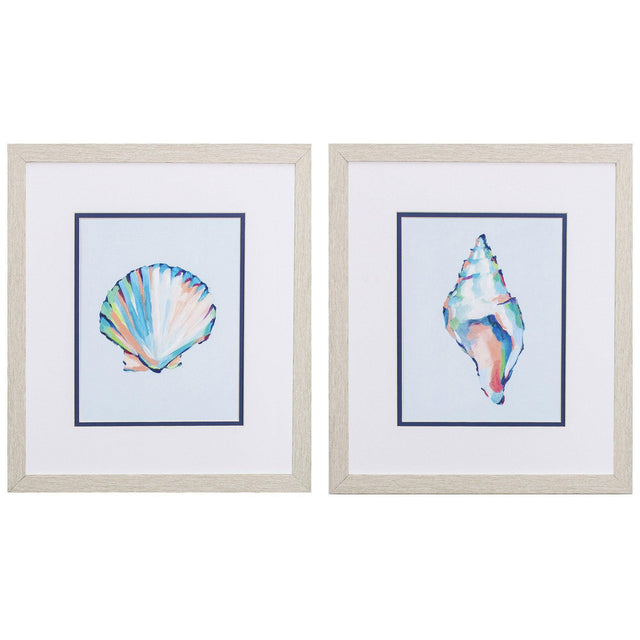 Paragon Pop Shell Study B S/2 Blue 16 X 14 X 1 Wall Art