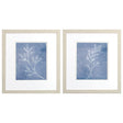 Paragon Branch Sketch S/2 Blue 16 X 14 X 1 Wall Art
