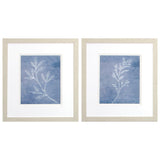 Paragon Branch Sketch S/2 Blue 16 X 14 X 1 Wall Art