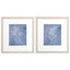 Paragon Branch Sketch S/2 Blue 16 X 14 X 1 Wall Art