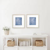 Paragon Branch Sketch S/2 Blue 16 X 14 X 1 Wall Art