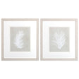 Paragon Palm Oasis S/2 Neutral 16 X 14 X 1 Wall Art