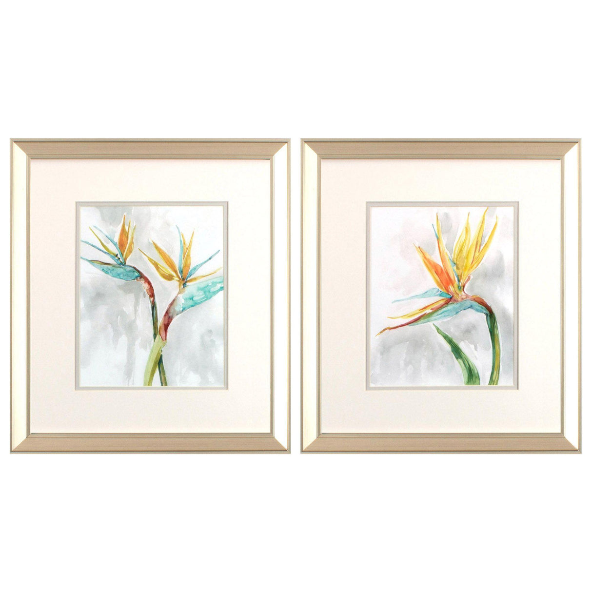 Paragon Bird of Paradise S/2 Teal 17 X 15 X 1 Wall Art
