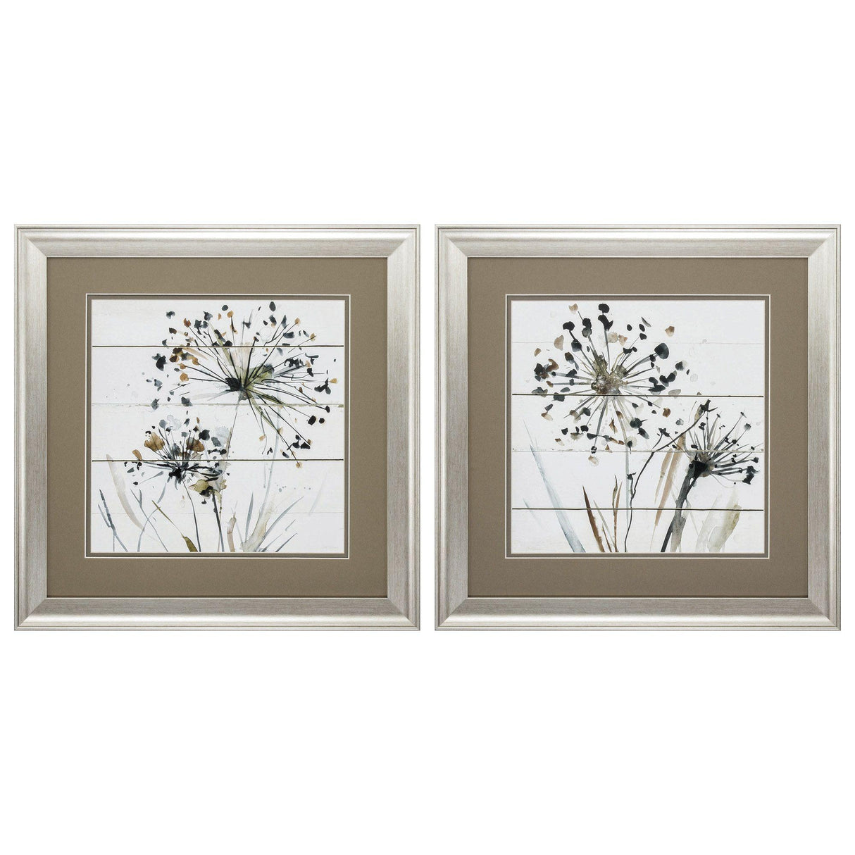 Paragon Natures Lace S/2 Brown 19 X 19 X 1 Wall Art