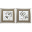 Paragon Natures Lace S/2 Brown 19 X 19 X 1 Wall Art